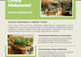 do professional mis executive and excel work